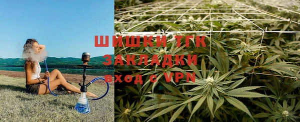 молекула духа Алексеевка